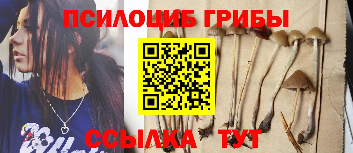 Псилоцибиновые грибы MAGIC MUSHROOMS  Вход с VPN  Печора 
